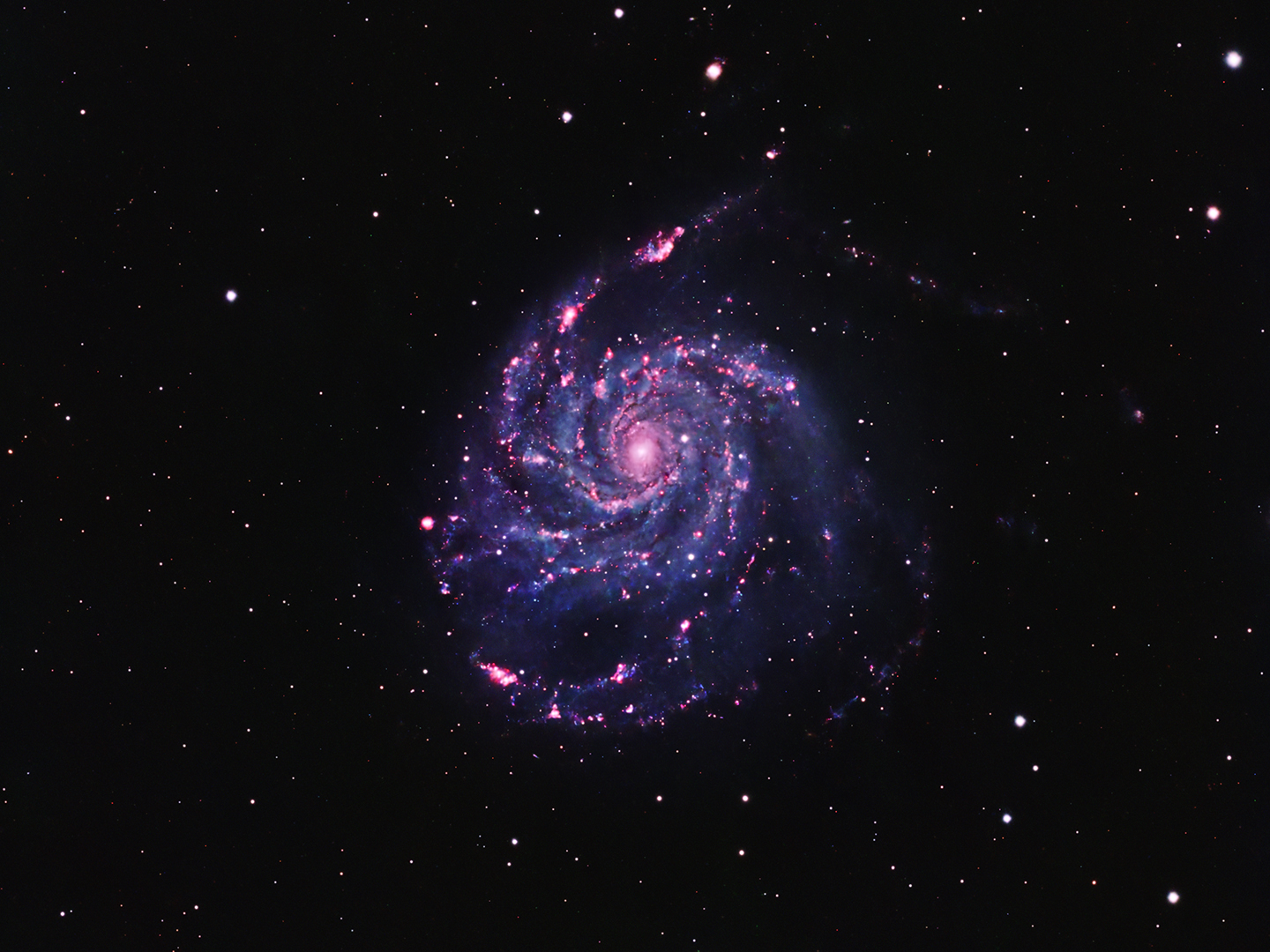m101
